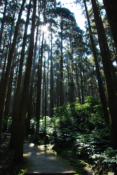 DSC_1617.JPG
