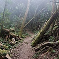 DSC_0716.JPG