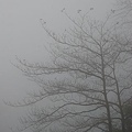 DSC_0749.JPG
