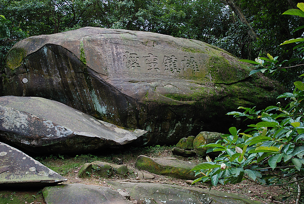 DSC_0541.JPG
