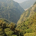 DSC_1403.JPG