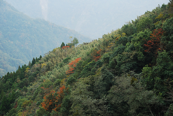 DSC_0799.JPG