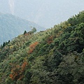 DSC_0799.JPG