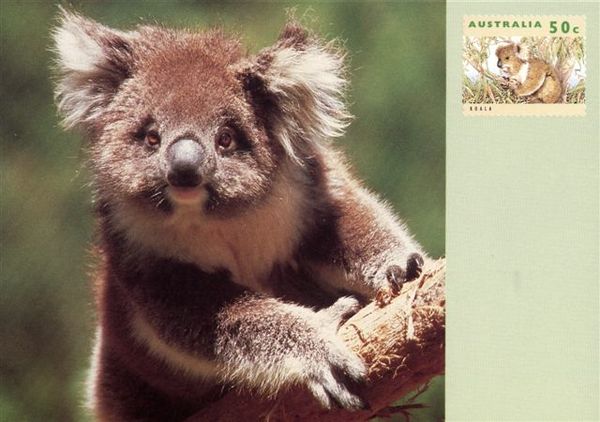 Australia15.jpg Australia15.jpg