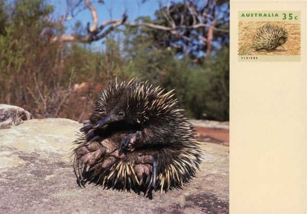 Australia16.jpg Australia16.jpg