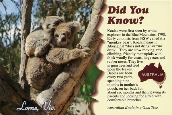 Australia17.jpg Australia17.jpg