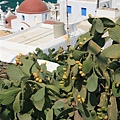 Mykonos-16.JPG