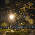 snow1