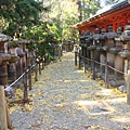 照片 623.jpg