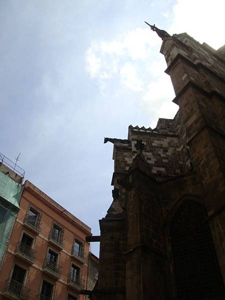 DSC09277.JPG