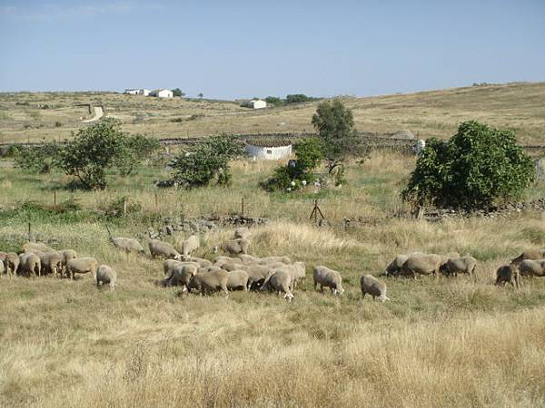 DSC09570.JPG