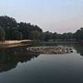 IMG_7393.JPG