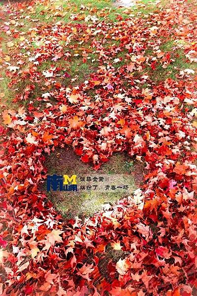 Ann Arbor 密西根大學安娜堡分校〈那段在安娜堡的日子 Ann Arbor 密西根大學安娜堡分校〈那段在安娜堡的日子