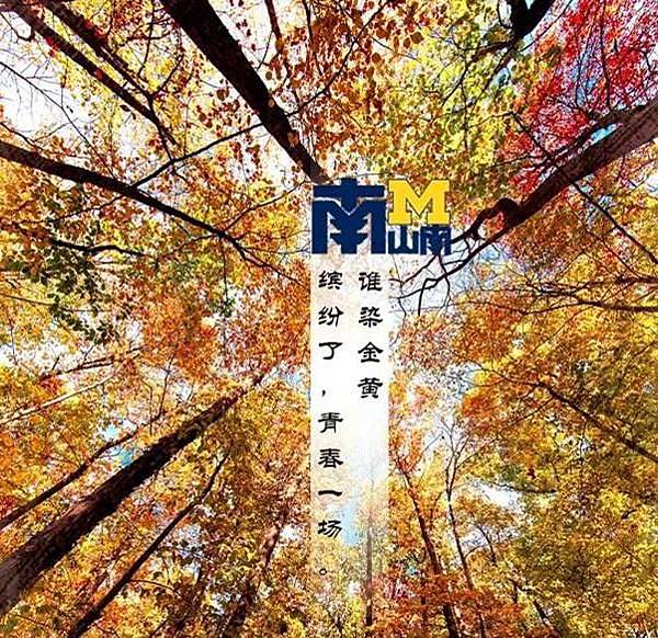 Ann Arbor 密西根大學安娜堡分校〈那段在安娜堡的日子 Ann Arbor 密西根大學安娜堡分校〈那段在安娜堡的日子