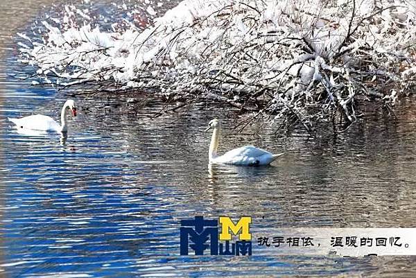 Ann Arbor 密西根大學安娜堡分校〈那段在安娜堡的日子 Ann Arbor 密西根大學安娜堡分校〈那段在安娜堡的日子