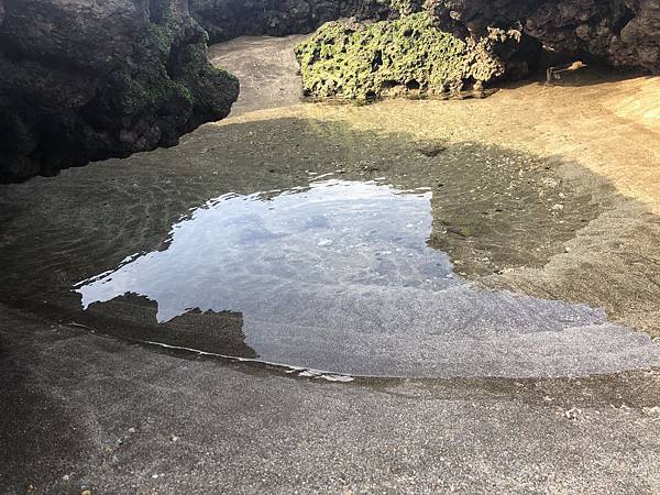 白沙灣 麟山鼻步道 老梅綠石槽〈北觀處景區輕遊記之五、202