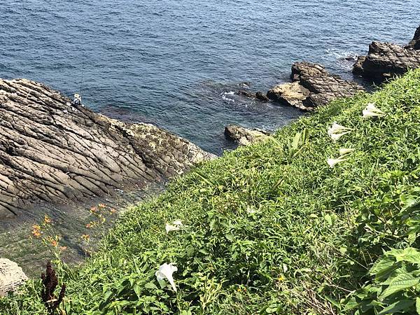 基隆八斗子 潮境公園、忘憂谷〈2020/06 東北角海岸輕遊