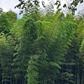 IMG_3896.JPG