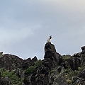 IMG_3488.JPG
