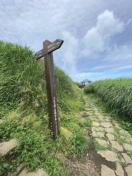 大屯連峰2021/06/07_5148