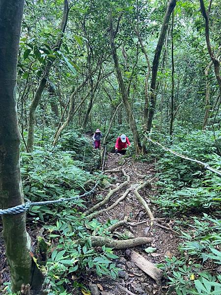 LINE_ALBUM_小百岳棚集山20210930_211001_50.jpg