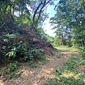 LINE_ALBUM_小百岳棚集山20210930_211001_5_0.jpg