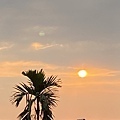 IMG_7924.JPG