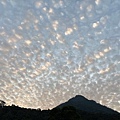 IMG_7982.JPG