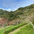 LINE_ALBUM_2022寒假_220128_22.jpg