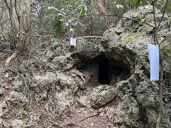 北壽山步道〈猩猩洞、北峰嶺、盤榕、樹伯休息區、八德園 202