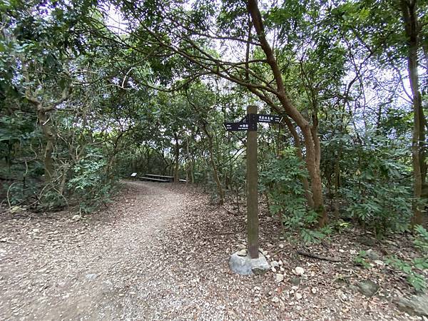 北壽山步道〈猩猩洞、北峰嶺、盤榕、樹伯休息區、八德園 202