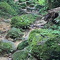 LINE_ALBUM_2022613姜子寮山與三貂嶺步道_220614_96.jpg