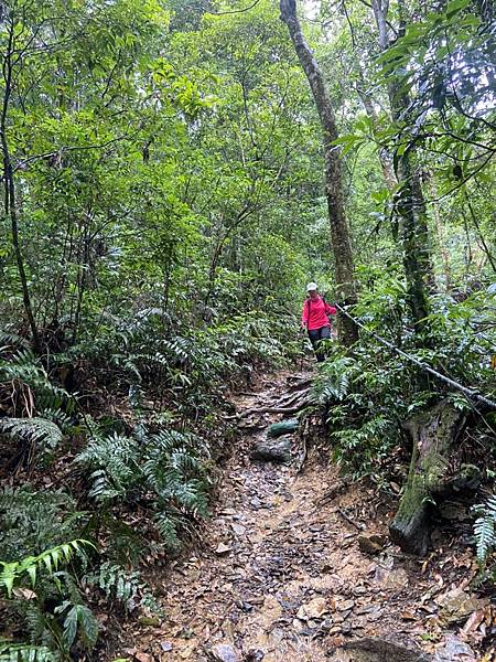 LINE_ALBUM_南部小百岳 21321～台南崁頭山、嘉義梨子腳山、紅毛埤山、獨立山、尾寮山_220620_34.jpg