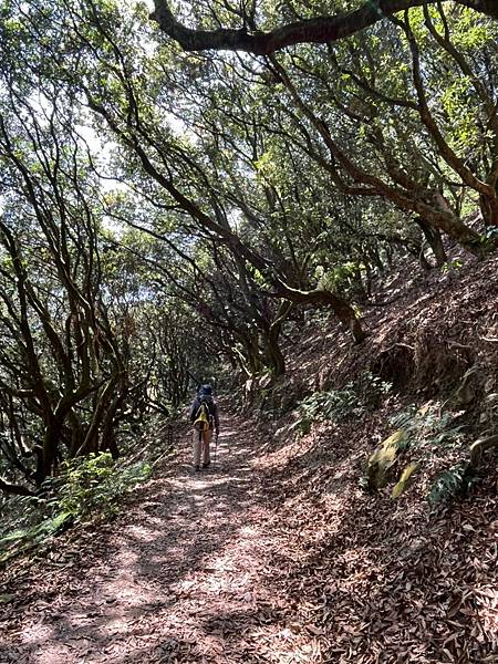 LINE_ALBUM_南部小百岳 21321～台南崁頭山、嘉義梨子腳山、紅毛埤山、獨立山、尾寮山_220620_14.jpg