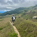 LINE_ALBUM_鵲子山、灣坑頭山20220815_220818_5.jpg