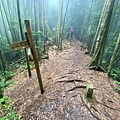 LINE_ALBUM_2022820金柑樹山、忘憂森林_220821_68.jpg