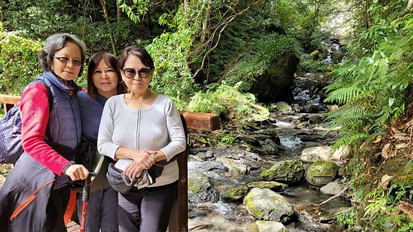 LINE_ALBUM_2022_4.10.25鎮西堡B線巨木群_221030.jpg
