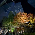 LINE_ALBUM_2022東京聖誕夜_221224_1.jpg