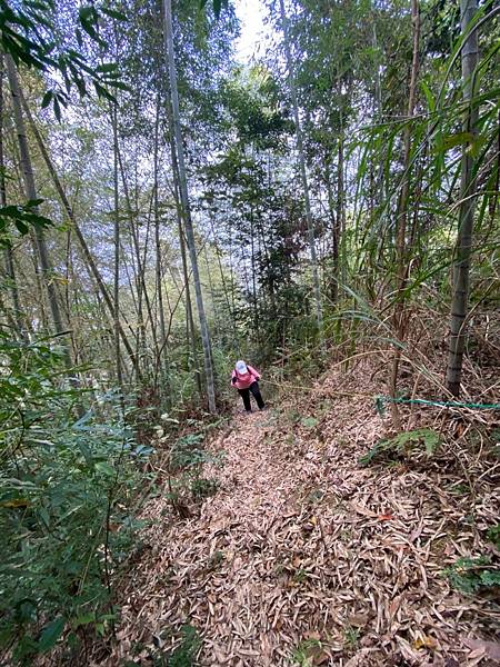 LINE_ALBUM_溪頭鳳凰山小百岳_230208_27.jpg