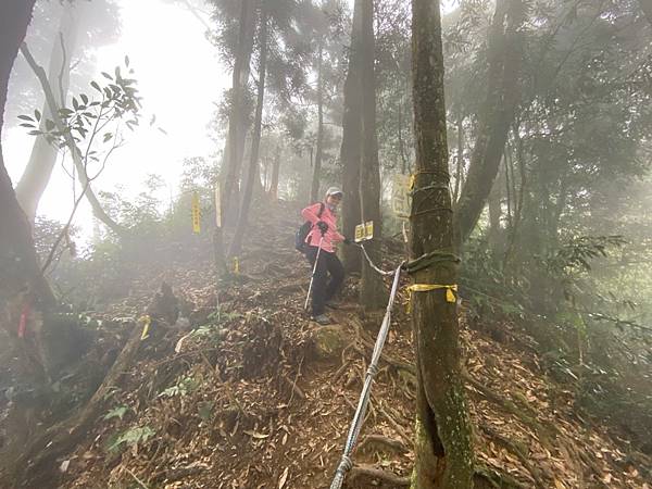 LINE_ALBUM_溪頭鳳凰山小百岳_230208_56.jpg