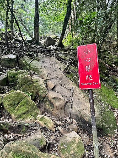 小百岳＃034 苗栗加里山（鹿場登山口） 2023/06/2