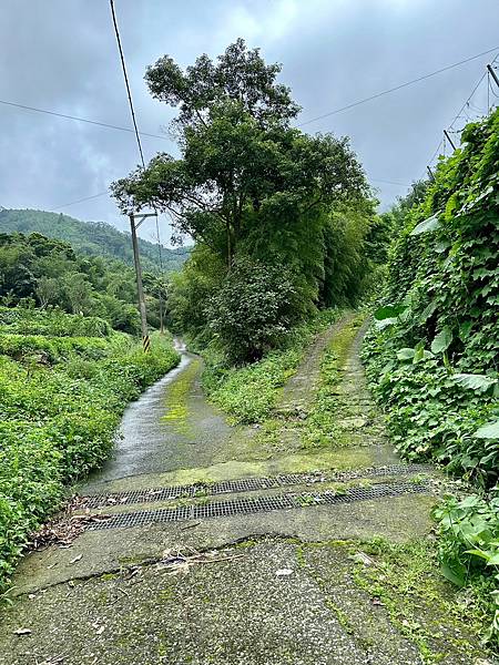 LINE_ALBUM_大湖尖山、紅毛埤山小百岳20230824_230825_6.jpg