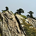 LINE_ALBUM_20231010-11合歡北峰、卡拉寶山_231012_20.jpg