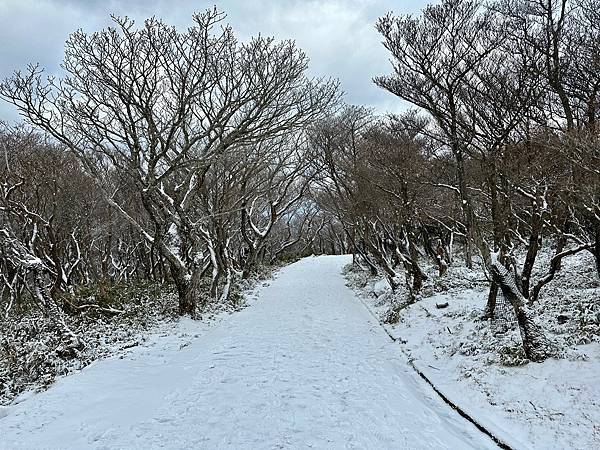 三重縣御在所纜車、山頂公園、三峰園（日本三重家族遊 2024