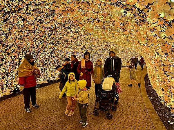 椿大神社、名花之里（日本三重家族遊 2024/01/20 -