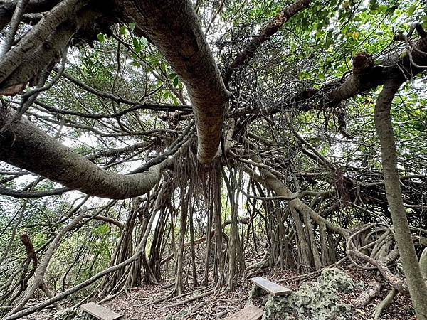 北柴山 神龍谷、金瓜洞〈北峰極樂洞、神龍谷、金瓜洞登遊誌之二