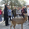 照片 586.jpg