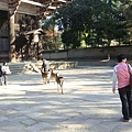 照片 582.jpg