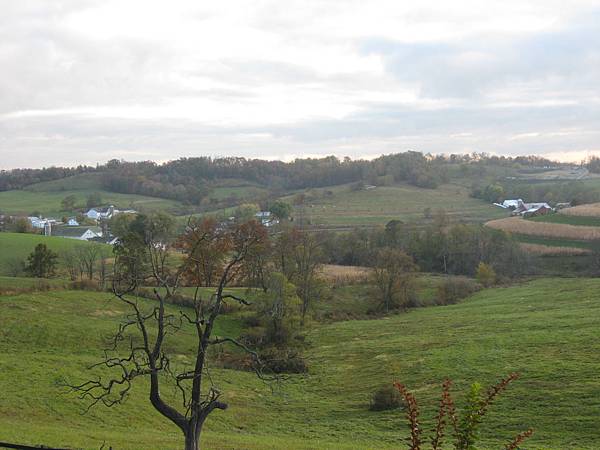 2008. AMISH county IMG_6292.JPG