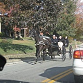 2008. AMISH county IMG_6367.JPG